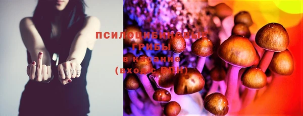 крисы Алексин