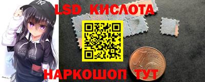амф Сланцы