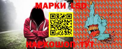 амф Сланцы