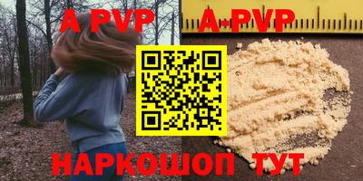 амф Сланцы
